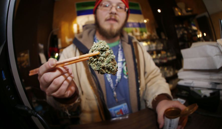 In this Friday, Dec. 9, 2014, file photograph, Matt Hart holds up a bud of Lemon Skunk, the most potent strain of marijuana available at the 3D Dispensary in Denver. (AP Photo/David Zalubowski, file)