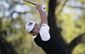 match_play_golf_62158.jpg