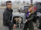 dog_meat_rescue_49940.jpg