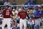 cubs_diamondbacks_spring_baseball_86098.jpg