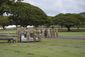 wwii_remains_09752.jpg