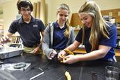 3-d-printed_prosthetics_23102.jpg
