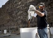 evolving_aquaculture_59475.jpg