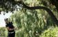 lpga_tour_golf_75185.jpg