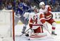 red_wings_lightning_hockey_20722.jpg