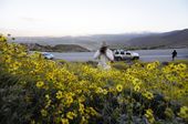 desert_super_bloom_35641.jpg