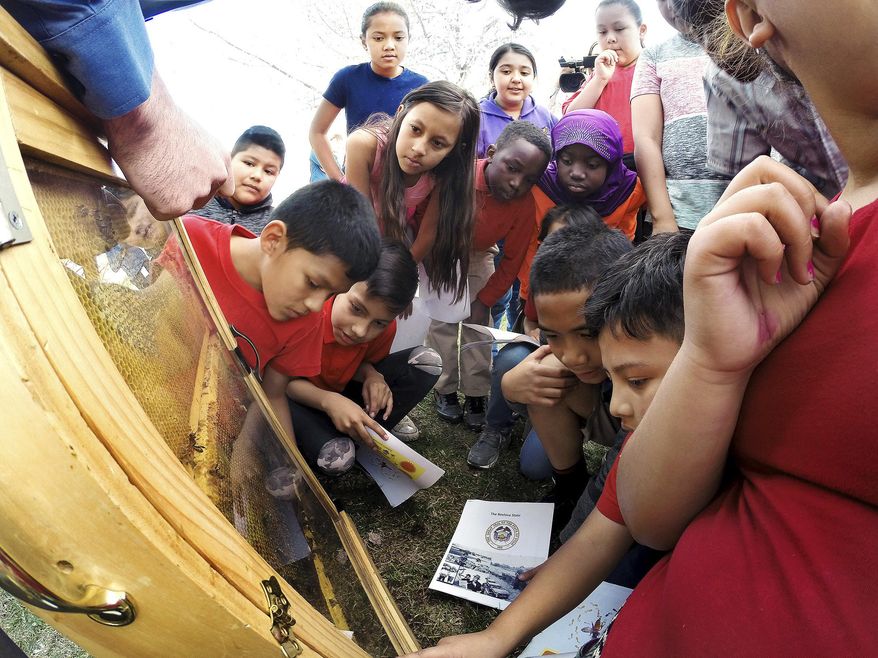 This photo taken Tuesday, March 21, 2017, shows students from Meadowlark elementary looking at Bees in a display hive. In recognition of National Agriculture Day Tuesday, the state agriculture department encourages the public to plant plants that attract bees. (Scott G Winterton/The Deseret News via AP)