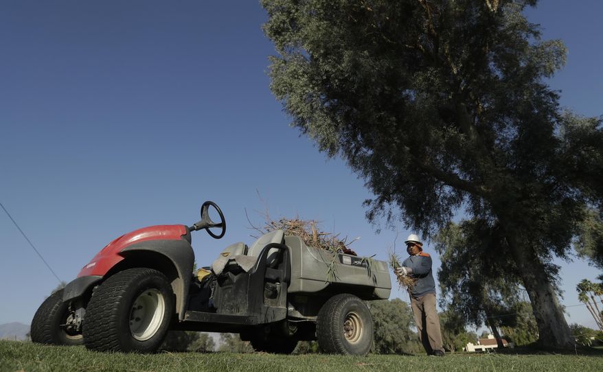 A course worker loads a cart with branches that blew off on the ninth hole during the LPGA Tour ANA Inspiration golf tournament at Mission Hills Country Club Friday, March 31, 2017 in Rancho Mirage, Calif. First round play was suspended due to high winds. (AP Photo/Chris Carlson)