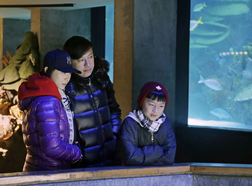 In this March 27, 2017, photo, tourists from China watch penguins at the New England Aquarium in Boston. In cities across the country, the American hospitality industry is stepping up efforts to make Chinese visitors feel more welcome. (AP Photo/Elise Amendola)