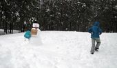 april_fools_storm_80596.jpg