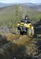 kelly_trail_52586.jpg