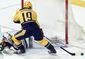 wild_predators_hockey_74840.jpg