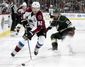 avalanche_wild_hockey_17416.jpg