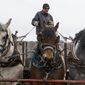 In a March 29, 2017 photo, Jason Julian, a sub-contractor for US Cellular, prepares his team of horses to transport supplies to a US Cellular phone tower through muddy, uneven terrain in Portage County, Wis. Old and new technology are merging in rural Wisconsin, as U.S. Cellular is using draft horses to help install cellphone equipment.  (Tyler Rickenbach/The Post-Crescent via AP)