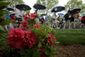 masters_golf_86704.jpg