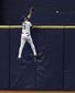 aptopix_yankees_rays_baseball_82110.jpg