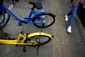 china_bike_sharing_21869.jpg