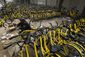 china_bike_sharing_43155.jpg
