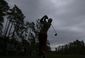 masters_golf_07219.jpg