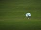 masters_golf_93114.jpg