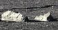 shipping_lanes_icebergs_12489.jpg