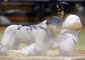 aptopix_blue_jays_rays_baseball_29435.jpg