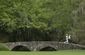 masters_golf_76182.jpg