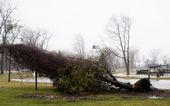 severe_weather-michigan_47071.jpg