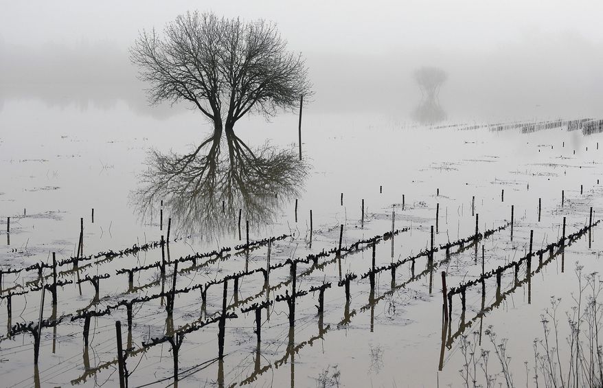 FILE - This Jan. 9, 2017 file photo shows flooded vineyards in the Russian River Valley in Forestville, Calif. On Friday, April 7, 2017, California Gov. Jerry Brown declared an end to the state's water emergency following a five-year drought that reduced rivers to trickles, farmland to dust fields and forests to swathes of dead trees. Storms hit in 2015 and returned with a vengeance last year, filling reservoirs, overflowing dams, swelling creeks and pumping up the snowpack. (AP Photo/Eric Risberg, File)
