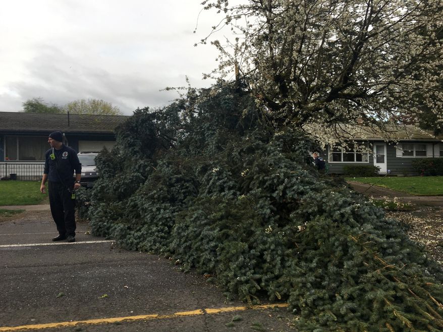 A fallen tree lies across a road after windy weather in Portland on Friday, April 7, 2017. (Dave Killen /The Oregonian via AP)