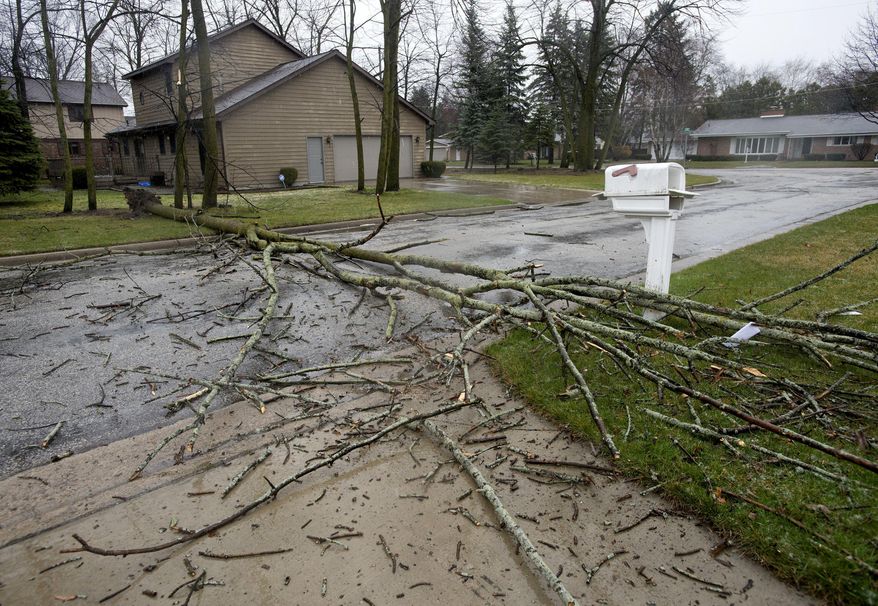 A tree lies across Eton Place near Warwick in Saginaw Township, Mich., on Thursday morning, April 6, 2019. Rain, snow, flooding and gusty winds are in the forecast for the Saginaw area all day into Friday. (Jeff Schrier/The Saginaw News via AP)