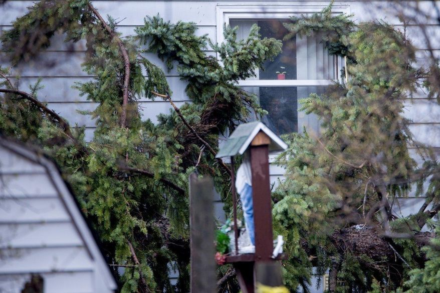 A woman stands in her home in Bay City, Mich., after three trees fell on the house and garage on Thursday, April 6, 2017. A mix of snow and rain across much of Michigan is causing hazardous driving conditions and bringing the threat of flooding in places. (Tori Schneider/The Bay City Times via AP)