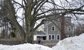 big_trees_31293.jpg