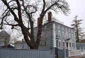 big_trees_73668.jpg