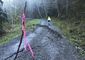 washington_landslide_68588.jpg