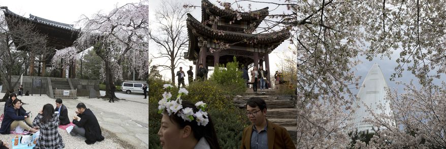 In this combination of photos showing cherry blossoms with both traditional and modern architecture in Tokyo, Beijing, and Seoul, from left to right: people enjoy lunch at Zojoji Buddhist temple in Tokyo, Friday, March 31, 2017; visitors to the Yuyuantan Cherry Blossom festival walk past a Chinese pavilion in Beijing, Saturday, March 25, 2017; the Lotte World Tower is seen near cherry blossoms in Seoul, Sunday, April 9, 2017. China, Japan and South Korea may have their differences, but they mostly see eye-to-eye on cherry blossoms. In all three north Asian countries, people flock to parks, gardens and temples to enjoy the beauty of the pinkish-white petals, often in the lingering chill of early spring. (AP Photos/Koji Sasahara, Ng Han Guan, Lee Jin-man)