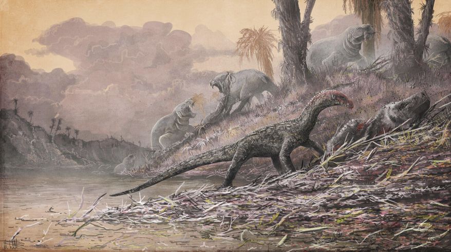 This artist's rendering provided by Mark Witton in April 2017 shows a Teleocrater rhadinus, center, a four-legged, meat-eating reptile and a close relative of dinosaurs, eating a relative of mammals, Cynognathus. The large dicynodont Dolichuranus is seen in the background. Researchers who found Teleocrater fossils in Tanzania in 2015 describe it in a paper released Wednesday, April 12, 2017 by the journal Nature. (Mark Witton/Natural History Museum, London via AP)