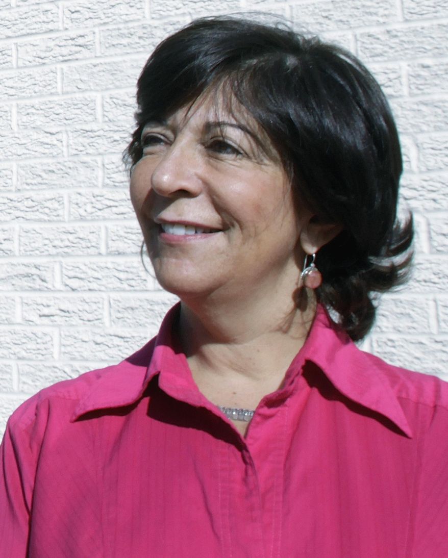 FILE - In this Nov. 15, 2011, file photo, Illinois state Rep. Sara Feigenholtz, D-Chicago, poses in Springfield, Ill. Republican Gov. Bruce Rauner is opposing legislation sponsored by Feigenholtz that would allow the state to cover abortions for its employees and Medicaid recipients. A Rauner spokesperson said Friday, April 14, 2017 the governor is committed to protecting women's rights under current law but recognizes the "sharp divisions of opinion" on taxpayer-funded abortion coverage. (AP Photo/Seth Perlman, File)