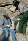 dino_discovery_56804.jpg