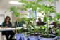 exchange-corpus_christi-community_garden_36282.jpg