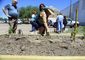 exchange-corpus_christi-community_garden_79297.jpg