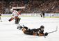 flames_ducks_hockey_70301.jpg