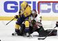 blackhawks_predators_hockey_26337.jpg
