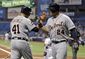 tigers_rays_baseball_32307.jpg
