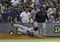 tigers_rays_baseball_45739.jpg