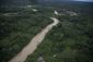 peru_illegal_logging_13574.jpg