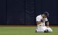 tigers_rays_baseball_79512.jpg