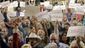 congress_chaffetz_96374.jpg