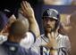 tigers_rays_baseball_38940.jpg