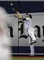 astros_rays_baseball_13654.jpg